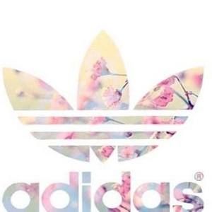 Meet your Posher, Bridgette